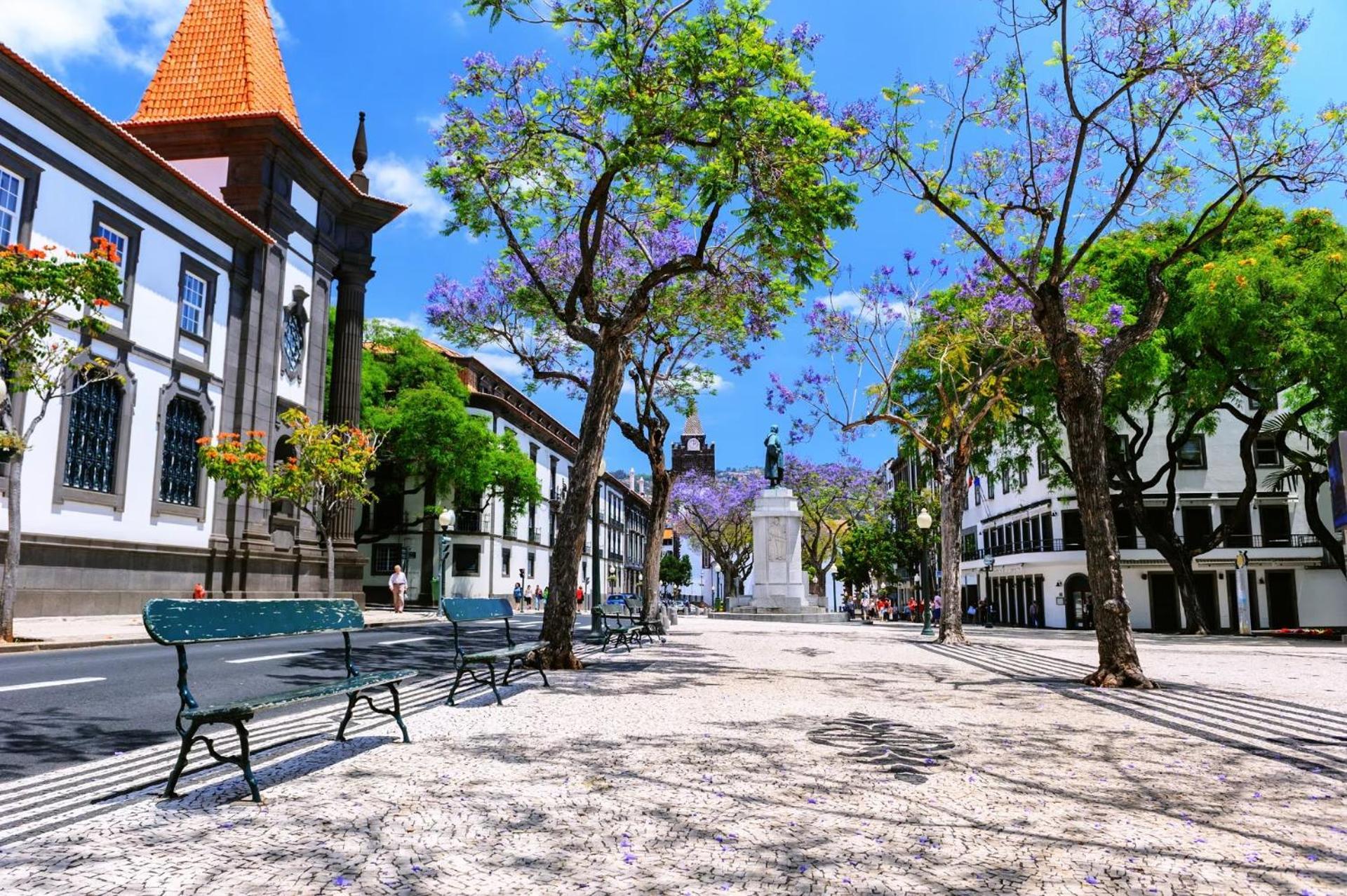 Orquidea Apartment Fenix II By Hr Madeira Funchal  Ngoại thất bức ảnh